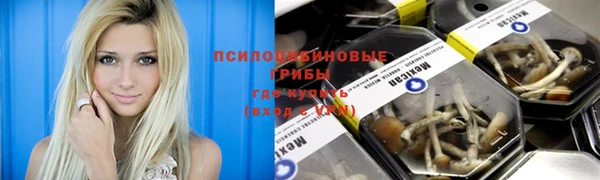 эйфоретик Волоколамск