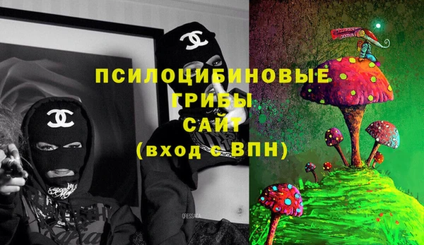 a pvp Володарск