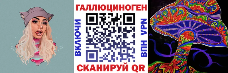 Купить  Верещагино  Галлюциногенные грибы Psilocybe 