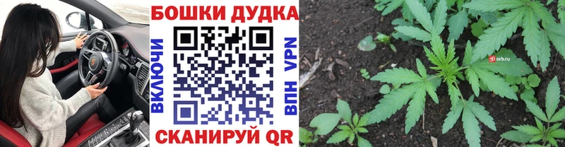 Купить закладки  Верещагино  Бошки марихуана индика 
